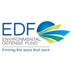 EDF Logo AS 300X300